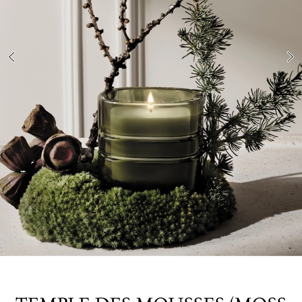 NIB Diptyque Temple des Mousses (Moss Temple) Candle - Picture 5 of 5